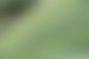 Фотография квеста-анимации Индиана Джонс и колесо судьбы от компании Безумное творчество (Фото 1)