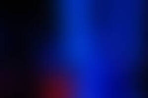 Фотография квеста Лаборатория профессора от компании IQ-quest (Фото 1)